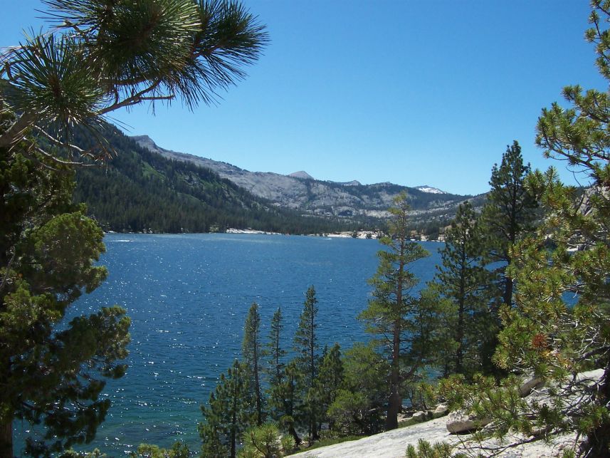 Echo Lake 3
Keywords: Echo Lake