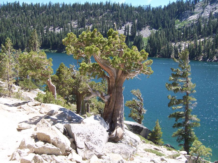 Keywords: Echo Lake