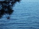 100_3988.jpg