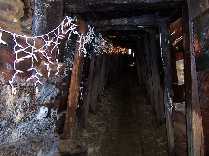 Mine Shaft
This is a cool mine to go see.  I wish they didn't use Christmas lights in the mine shaft though.
Keywords: Kentucky Mine