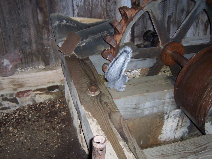 Keywords: Kentucky Mine
