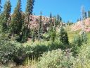 100_3295.jpg