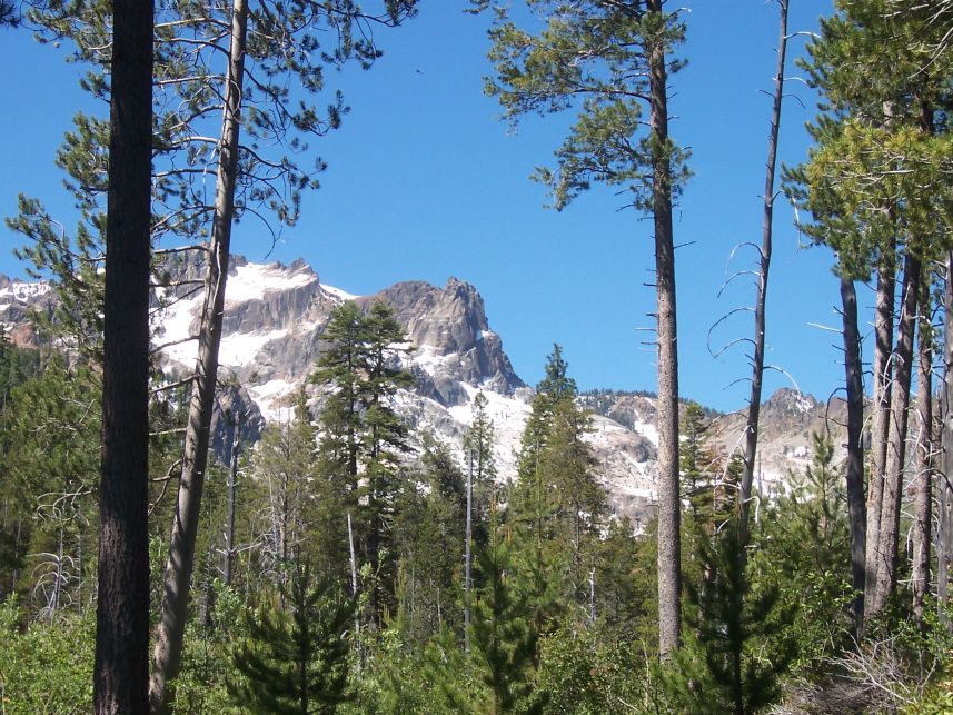 100_3678.jpg
