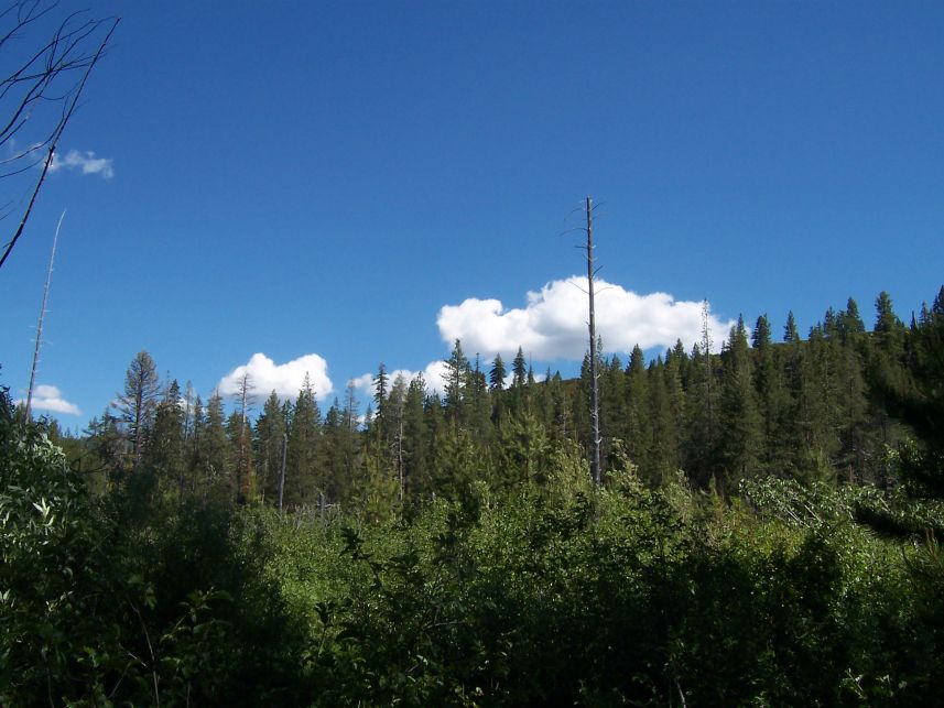 100_3704.jpg