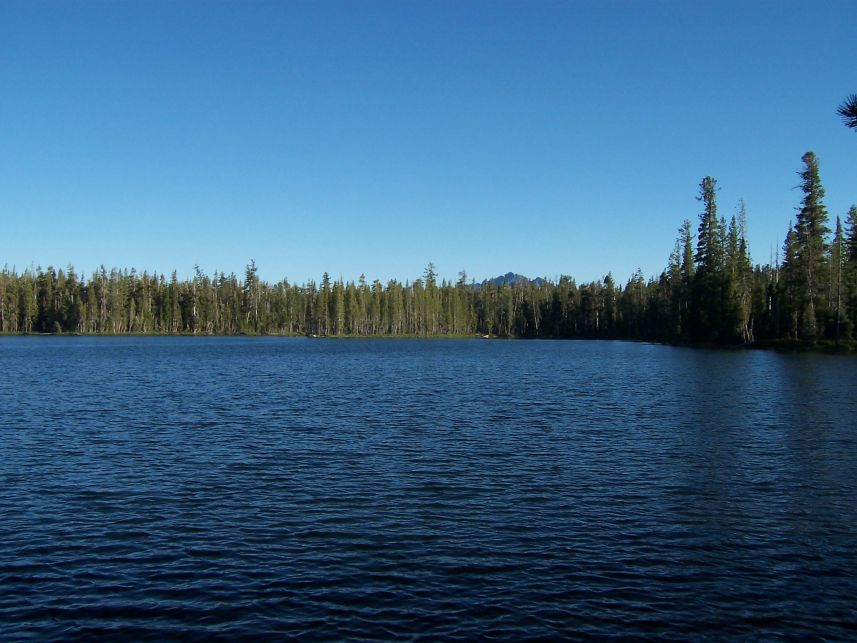 100_3815.jpg