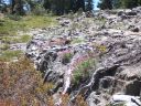 100_3727.jpg