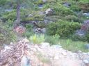 100_3786.jpg